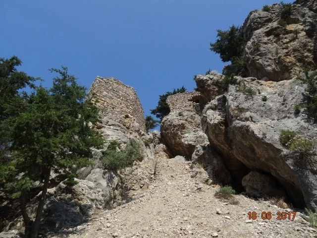 Palio Pyli