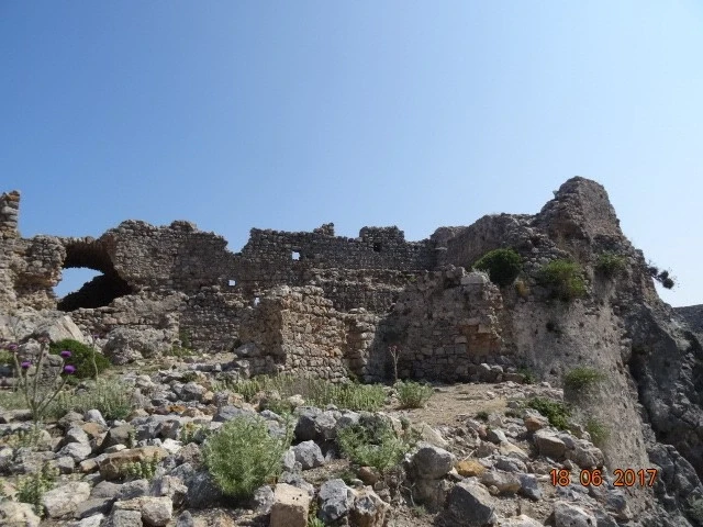 Palio Pyli