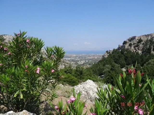 Palio Pyli