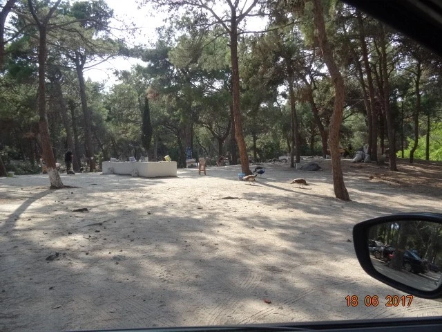 Plaka Forest близ Антимахии..