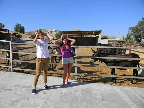 Ослиная ферма Golden Donkeys в Скарину