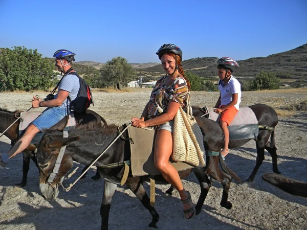 Ослиная ферма Golden Donkeys в Скарину