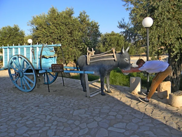 Ослиная ферма Golden Donkeys в Скарину