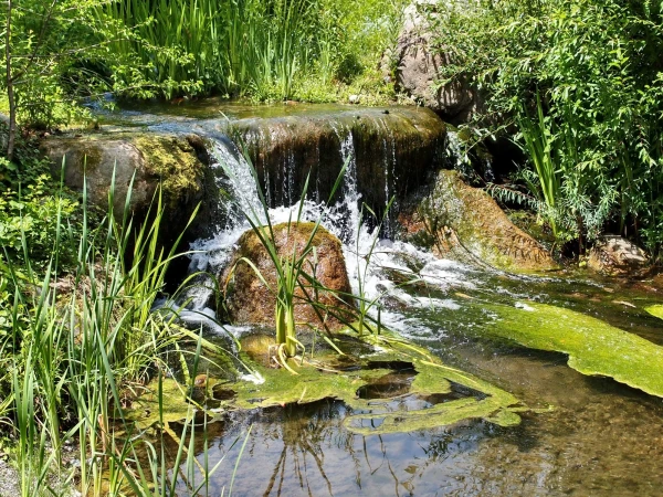 Очень приятно, что много воды. Особенно в жаркий день