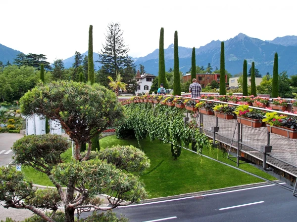 Прощаюсь с Траутмансдорфом