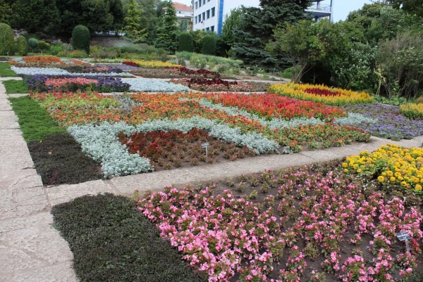 Ботанический сад, Балчик