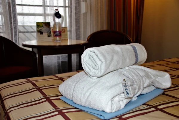 Хевиз. Отель  Danubius Health Spa Resort Aqua 4*. Номер стандарт.