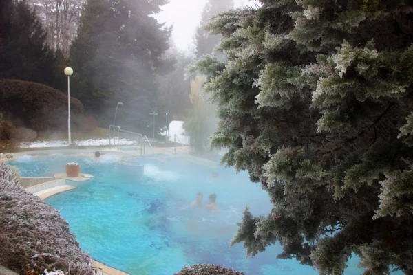 Зимняя сказка Хевиза. Отель  Danubius Health Spa Resort Aqua 4*.