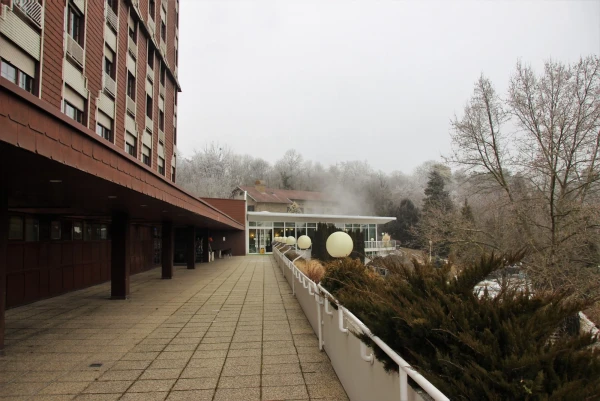 Хевиз. Отель  Danubius Health Spa Resort Aqua 4*.