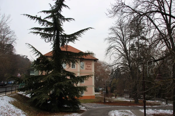 Хевиз.