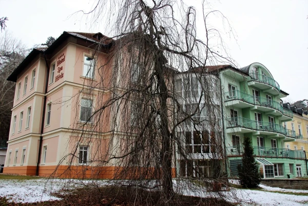 Хевиз.