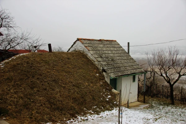 Винные погреба.