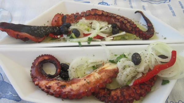 Наши щупальца осьминогов