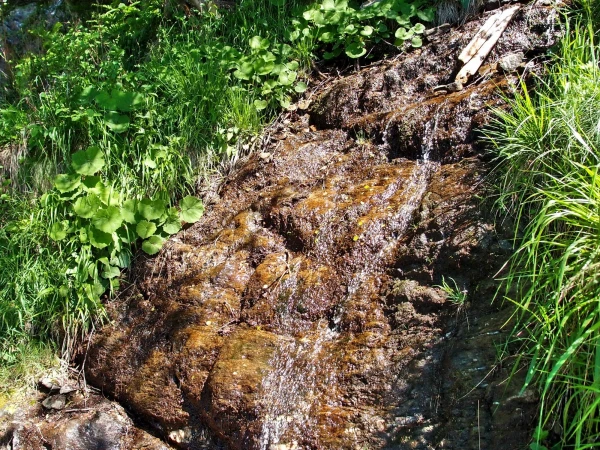 часто встречаются бегущие с гор ручьи и мини-водопадики