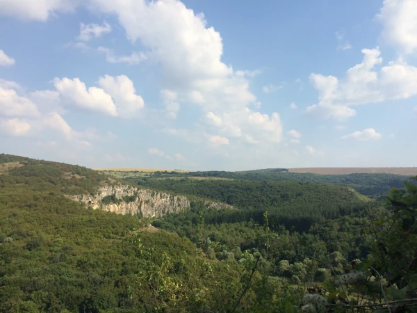 Орлова Чука 