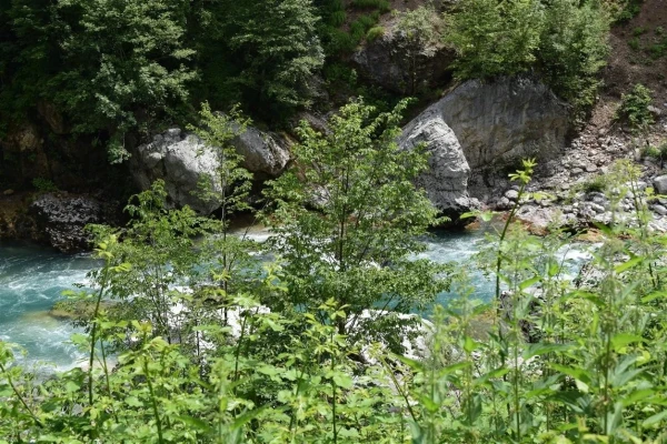 Река Тара