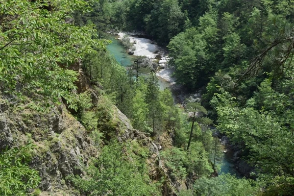 Каньон реки Морача