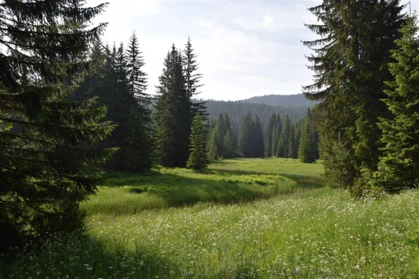 Парк Дурмитор