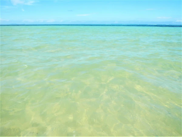 Водичка!!!