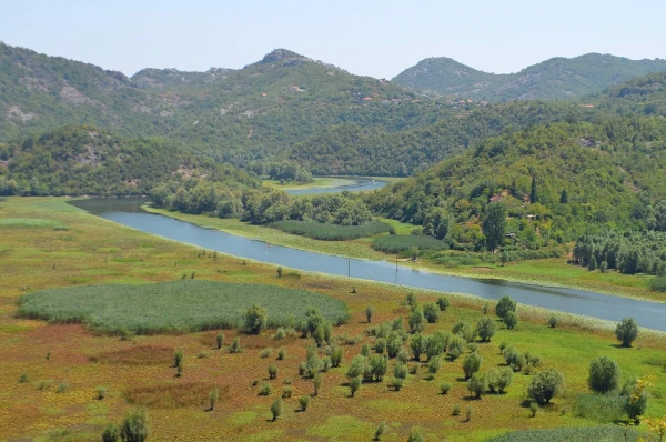 Река Црноевича