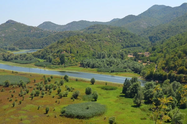 Река Црноевича