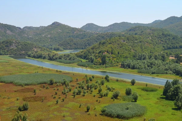 Река Црноевича