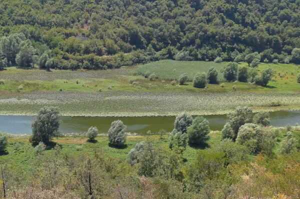 Река Црноевича