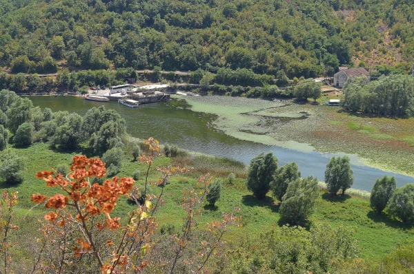 Река Црноевича