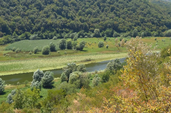Река Црноевича