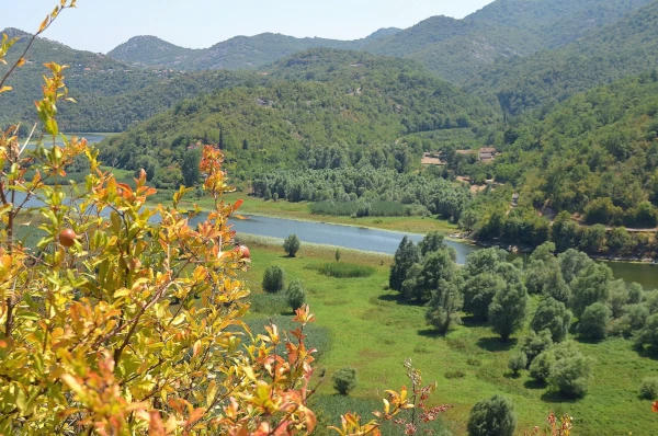 Река Црноевича