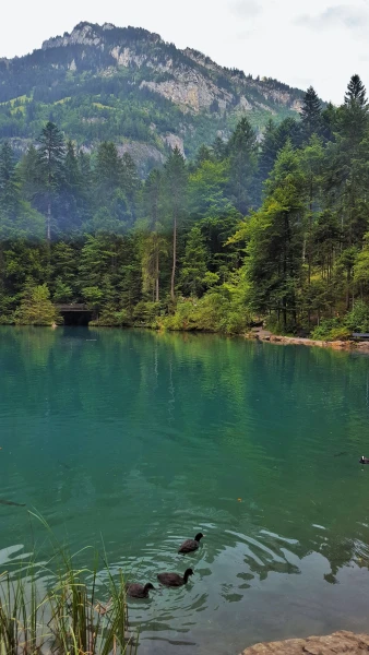 Blausee (Голубое озеро)
