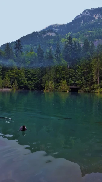 Blausee (Голубое озеро)