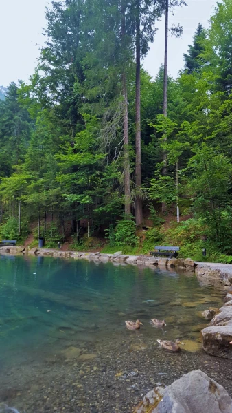 Blausee (Голубое озеро)