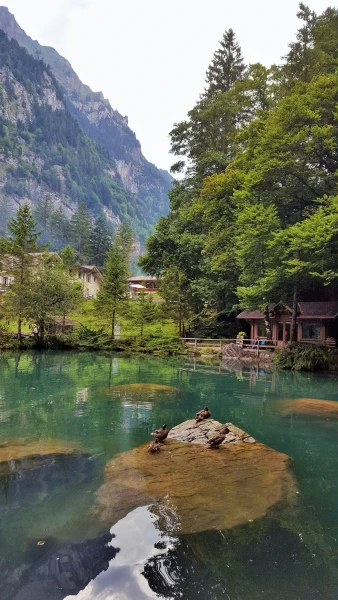 Blausee (Голубое озеро)