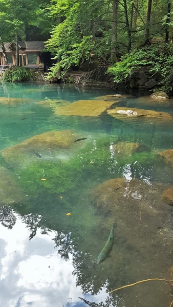 Вода очень прозрачная!