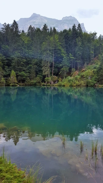 Blausee (Голубое озеро)