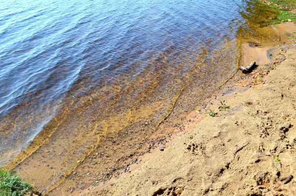 озеро Сапшо. Водичка янтарного цвета