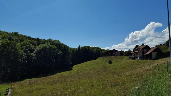 Грансон