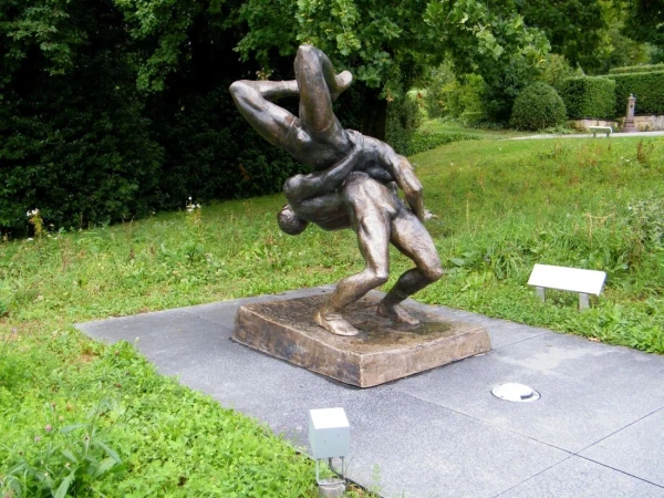 борцы