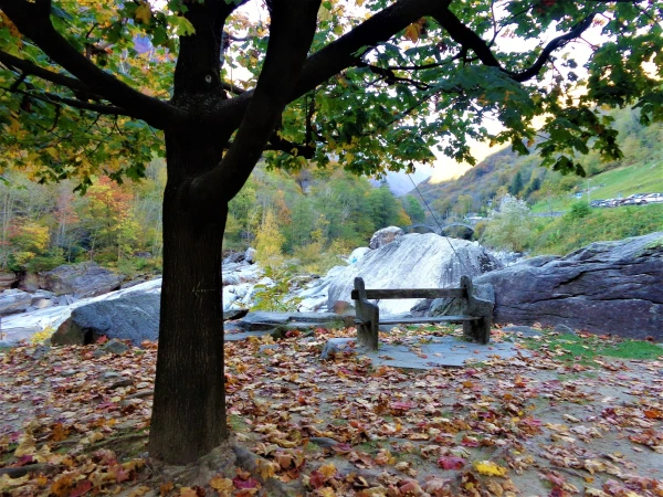 Осень в долине Верзаска