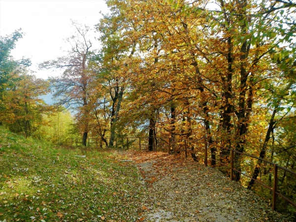 На горе Monte Bre