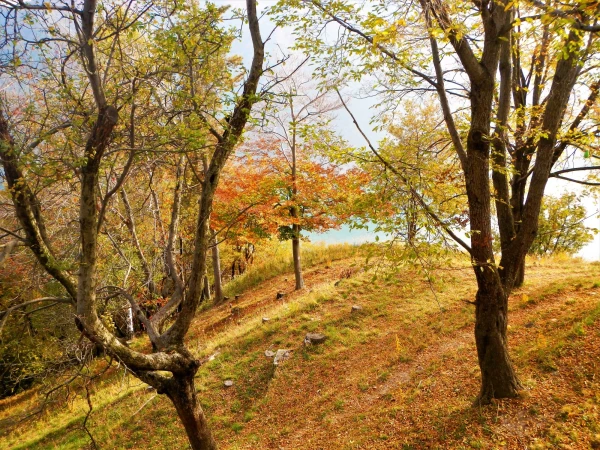 На горе Monte Bre
