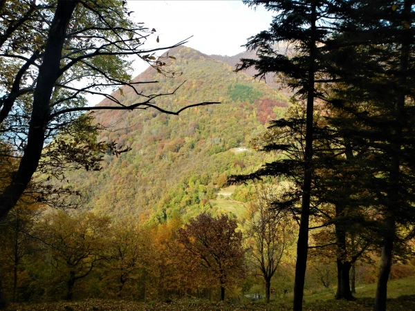 По пути в Bre Village