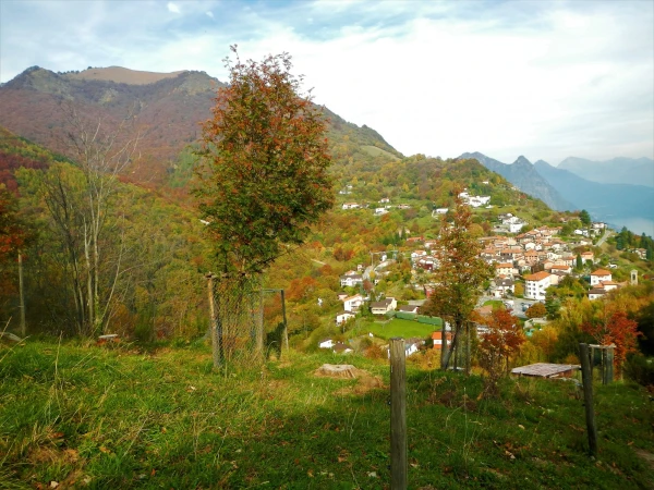 По пути в Bre Village