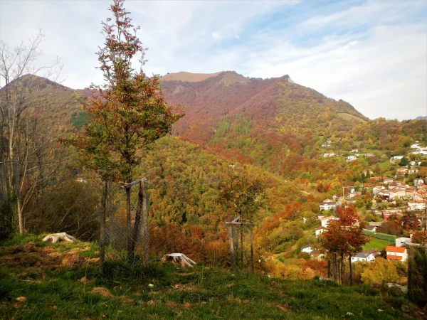 По пути в Bre Village