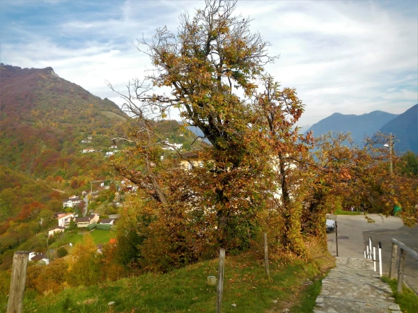 По пути в Bre Village