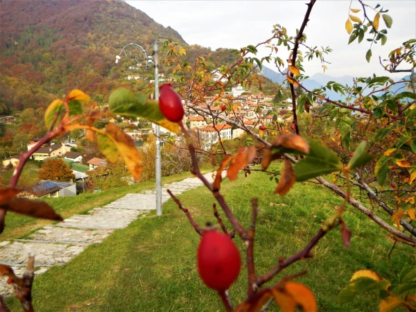  Вид на Bre Village 