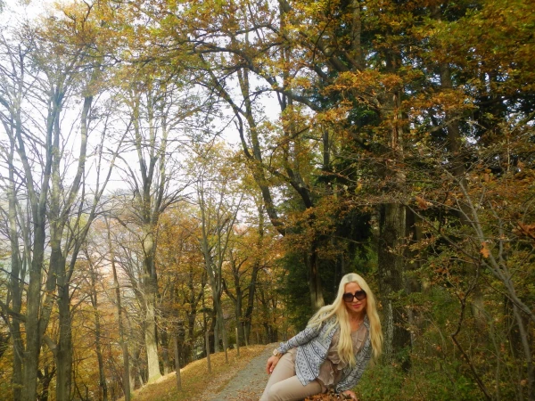 На Monte Bre