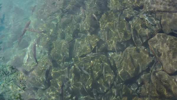 Прозрачная водичка в порту
