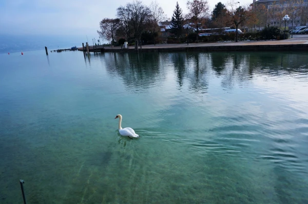 Lac d'Annecy